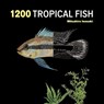 1200 Tropical Fish: An Illustrated Guide to 1200 Fish Species from Around the World - Mitsuhiro Iwasaki - 9780228106067