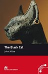 Black Cat -  - 9780230029231