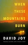 When These Mountains Burn - David Joy - 9780233006390