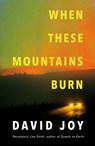 When These Mountains Burn - David Joy - 9780233006505