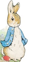 All about Peter - Beatrix Potter - 9780241324554