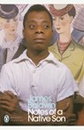 Notes of a Native Son - James Baldwin - 9780241334003