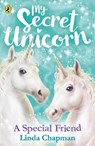 My Secret Unicorn: A Special Friend - Linda Chapman - 9780241354230
