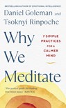 Why We Meditate - Daniel Goleman ; Tsoknyi Rinpoche - 9780241527870