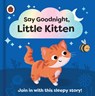 Say Goodnight, Little Kitten - Ladybird - 9780241627372