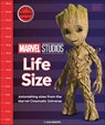 Marvel MCU Life Size - DK - 9780241785119