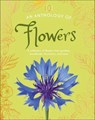 An Anthology of Flowers - Maddie Bailey - 9780241814918