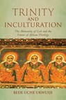 Trinity and Inculturation - Bede Uche Ukwuije - 9780268211141