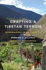 Crafting a Tibetan Terroir - Brendan A. Galipeau - 9780295753362