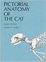 Pictorial Anatomy of the Cat - Stephen G. Gilbert - 9780295954547