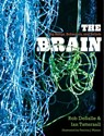 The Brain - Rob DeSalle ; Ian Tattersall - 9780300183566
