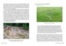Stone Circles - Colin Richards ; Vicki Cummings - 9780300235982