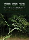 Grasses, Sedges, Rushes - Lauren Brown ; Ted Elliman - 9780300236774