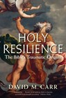 Holy Resilience - David M. Carr - 9780300240009