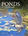 Ponds - Patrick J. Lynch - 9780300284966