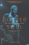Divided Soul: The Life of Marvin Gaye - David Ritz - 9780306811913