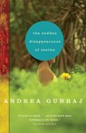The Sudden Disappearance of Seetha - Andrea Gunraj - 9780307374080