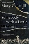 Somebody with a Little Hammer - Mary Gaitskill - 9780307472335
