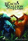 The Black Stallion and Flame - Walter Farley - 9780307804983