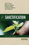 Five Views on Sanctification - Melvin E. Dieter ; Anthony A. Hoekema ; Stanley M. Horton ; J. Robertson McQuilkin - 9780310212690