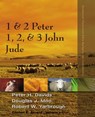 1 and 2 Peter, Jude, 1, 2, and 3 John - Peter H. Davids ; Douglas J. Moo ; Robert Yarbrough ; Clinton E. Arnold - 9780310530251