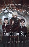 The Kneebone Boy - Ellen Potter - 9780312674328