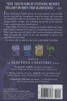 Beautiful Creatures - Kami Garcia ; Margaret Stohl - 9780316077033