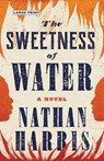 The Sweetness of Water - Nathan Harris - 9780316362894
