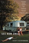 See How Small - Scott Blackwood - 9780316373975