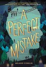 A Perfect Mistake - Melanie Conklin - 9780316668583