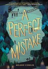 A Perfect Mistake - Melanie Conklin - 9780316668606