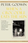 When A Crocodile Eats the Sun - Peter Godwin - 9780330504355