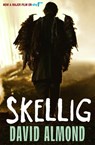 Skellig - David Almond - 9780340997048