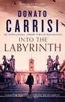 Into the Labyrinth - Donato Carrisi - 9780349143958