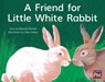 Friend for Little White Rabbit,: Leveled Reader Yellow Fiction Level 8 Grade 1 - Hmh Hmh - 9780358121695