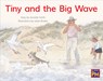 Leveled Reader Yellow Fiction Level 8 Grade 1: Tiny and the Big Wave - Hmh Hmh - 9780358121763