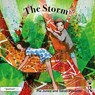 The Storm - Pia Jones ; Sarah Pimenta - 9780367491963