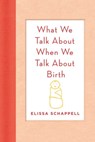What We Talk About When We Talk About Birth - Elissa Schappell - 9780374712914
