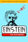 Einstein for Beginners - Joseph Schwartz ; Michael Mcguinness - 9780375714597