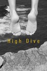 High Dive - Tammar Stein - 9780375849510