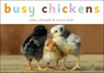 Busy Chickens - John Schindel - 9780385391740