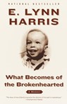 What Becomes of the Brokenhearted - E. Lynn Harris - 9780385495066