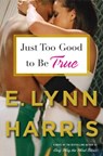 Just Too Good to Be True - E. Lynn Harris - 9780385514125