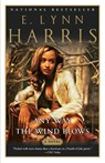 Any Way the Wind Blows - E. Lynn Harris - 9780385721189