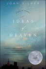 Ideas of Heaven - Joan Silber - 9780393070729