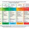 Autonomic Nervous System Table: Laminated Card -  - 9780393712803
