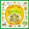 The Life and Times of a Honey Bee - Charles Micucci - 9780395861394