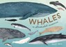 Whales - Kelsey Oseid - 9780399581830