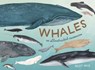 Whales - Kelsey Oseid - 9780399581847