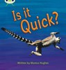 Bug Club Phonics - Phase 3 Unit 7: Is It Quick? - Monica Hughes - 9780433019459